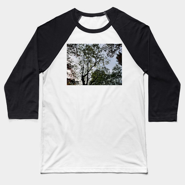 Colour of the tree on sunset Baseball T-Shirt by fantastic-designs